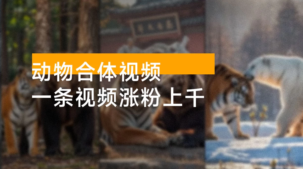 动物合体视频,一条视频涨粉上千,一键生成,分成计划变现