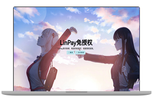 LinPay码支付 卓越的性能和丰富的聚合免签系统(免授权学习版)
