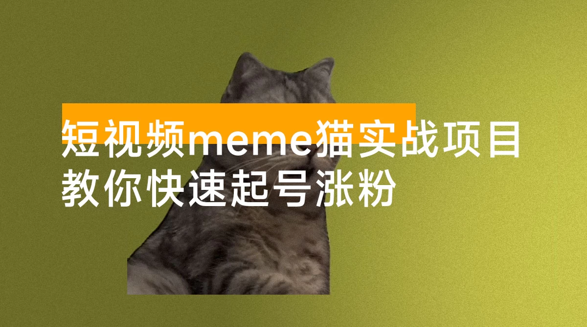 短视频 meme 猫实战项目,从选素材到把文案,到剪辑,手把手的教你快速起号涨粉