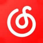 安卓 网易云音乐 v9.0.40 精简无广告,荣耀定制版